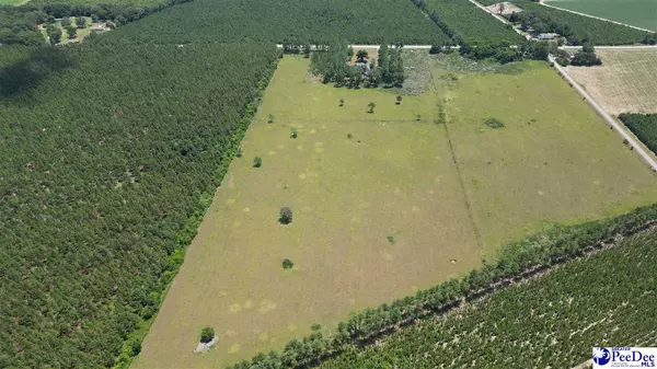 Bishopville, SC 29010-7296,TBD Ashland Stokes Bridge Rd