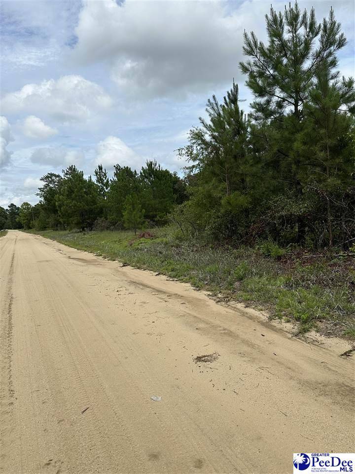 Dillon, SC 29536,Lot 25 Old Hickory Drive
