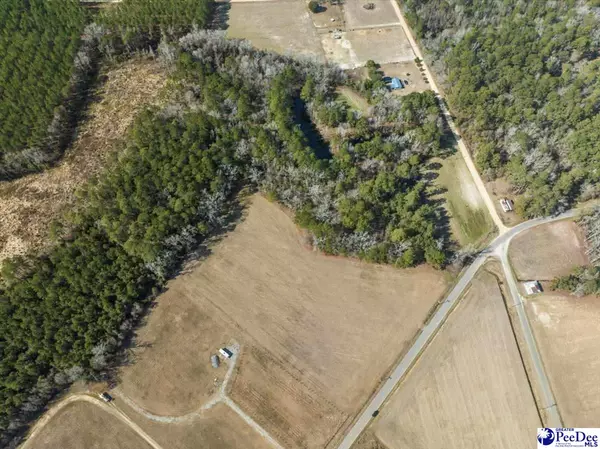 Lake View, SC 29563,Tract 3 Kemper Church Rd.