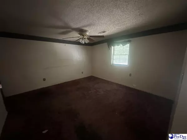 Darlington, SC 29540,1328 Mount Sinai Dr