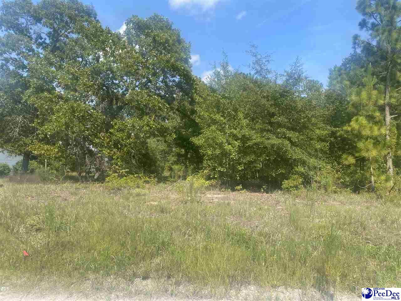 Dillon, SC 29536,Lot 53 Doe Trail