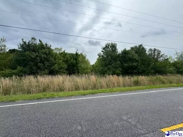 Bennettsville, SC 29512,Academy Rd