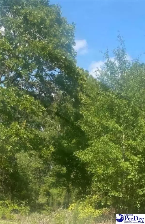 1529 Gwen Drive, Hamer, SC 29547