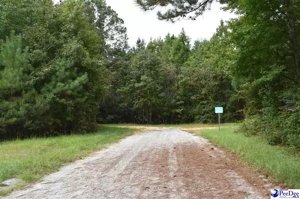 Florence, SC 29505,TBD Bazen Lane