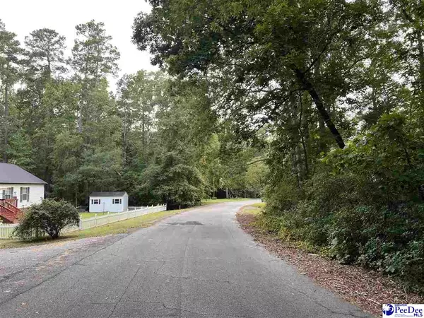 Johnsonville, SC 29555,234 Pineneedle Circle