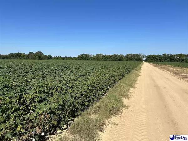 Bennettsville, SC 29512,TBD Talon Plant Road