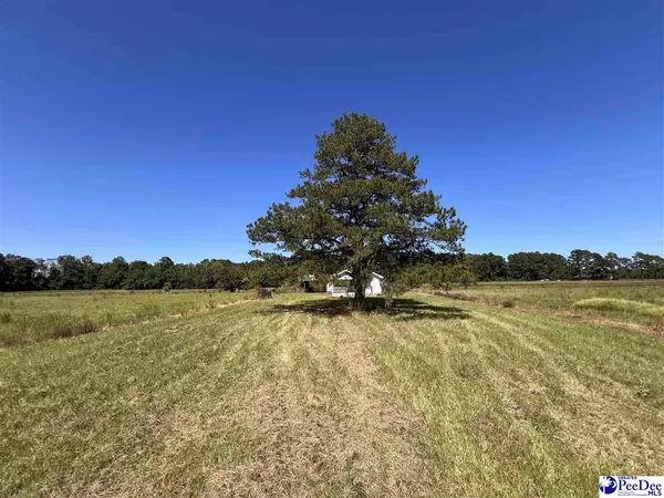 Hemingway, SC 29554,740 Chair Rd