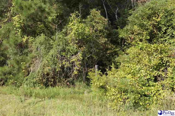 TBD Hartsville Ruby Road,  Patrick,  SC 29584