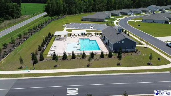Galivants Ferry, SC 29544,197 Country Grove Way (Cameron B Lot 350)