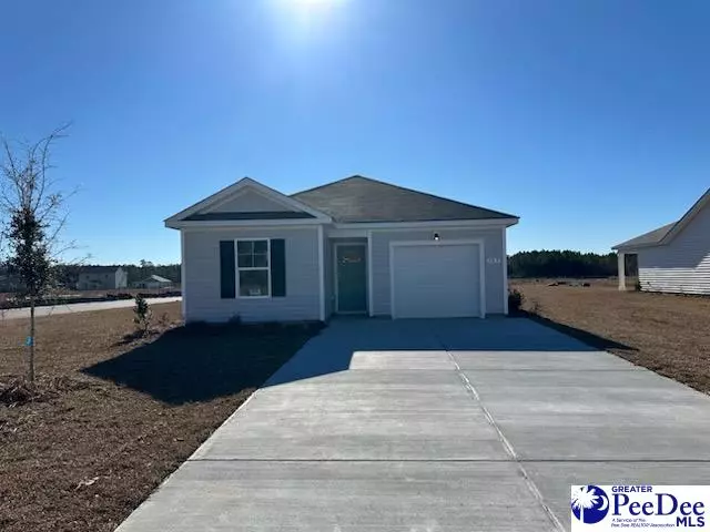 Galivants Ferry, SC 29544,183 Country Grove Way (Cameron A Lot 320)