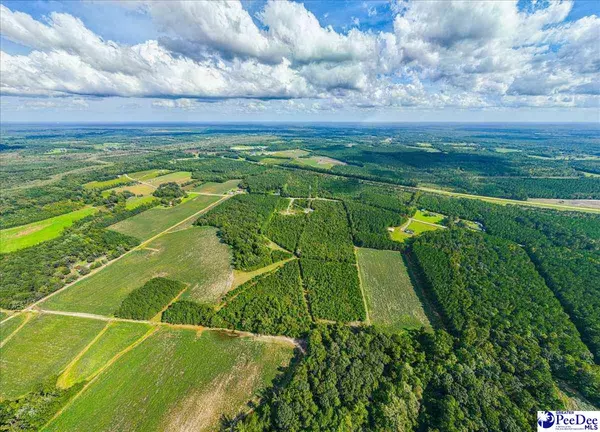 Timmonsville, SC 29161,TBD Timmons Road