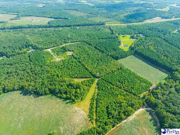 Timmonsville, SC 29161,TBD Timmons Road