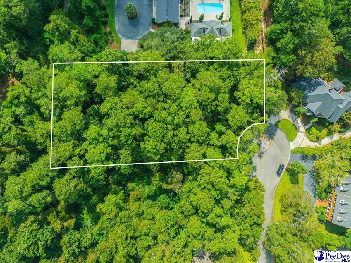 Lot Erwin Road, Hartsville, SC 29550
