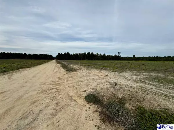 Lake View, SC 29563,784 Barrentine Road
