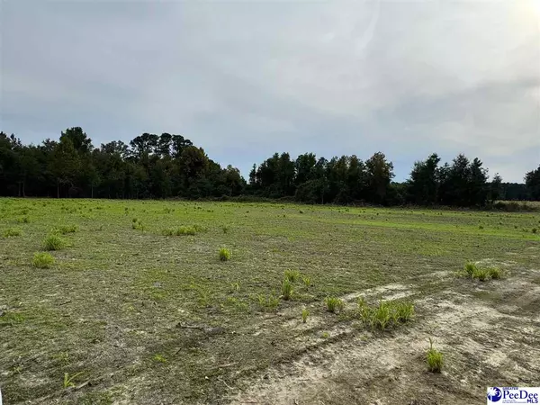 Lake View, SC 29563,784 Barrentine Road
