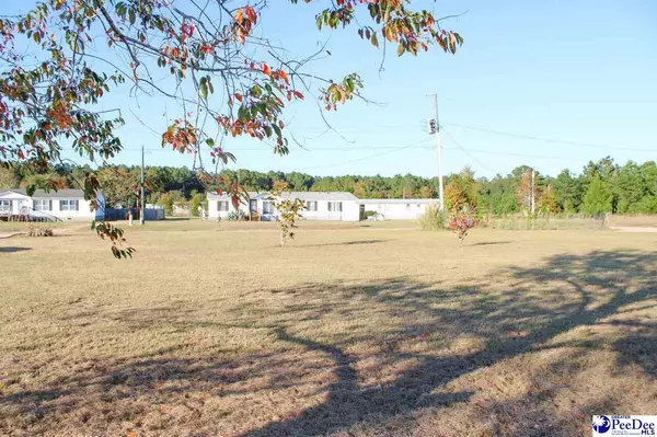 Wedgefield, SC 29168,6130 Waco Ct.