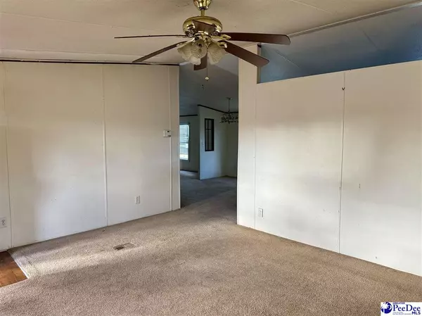 Manning, SC 29102,1238 Audrey Rd