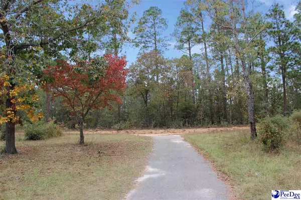 Windsor, SC 29856,676 Cedar Branch Rd