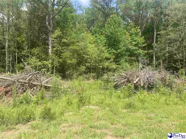 Bishopville, SC 29010-0000,1040 Woodrow Road