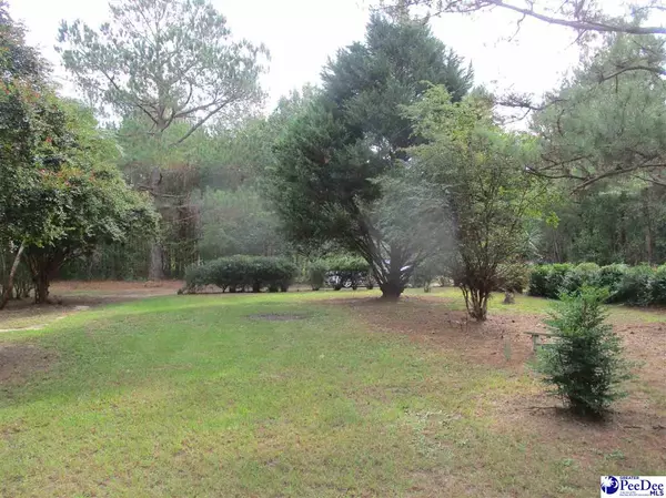 Pinewood, SC 29125,1240 Garlie Circle