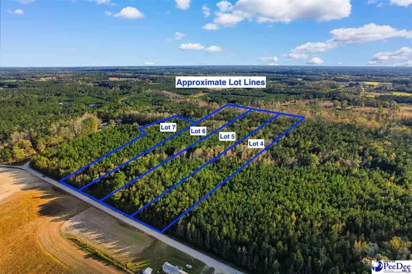 Loris, SC 29569,TBD Oneal Road (Lot 4)
