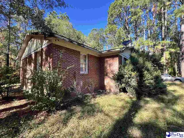Kingstree, SC 29556,53 Drylog Ave