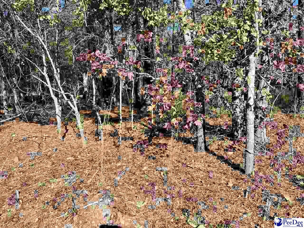 Mullins, SC 29574,TBD Sheppard Court