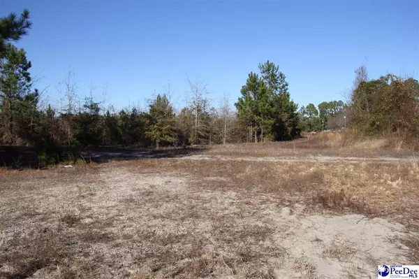 Lamar, SC 29069,TBD Country Manor Rd