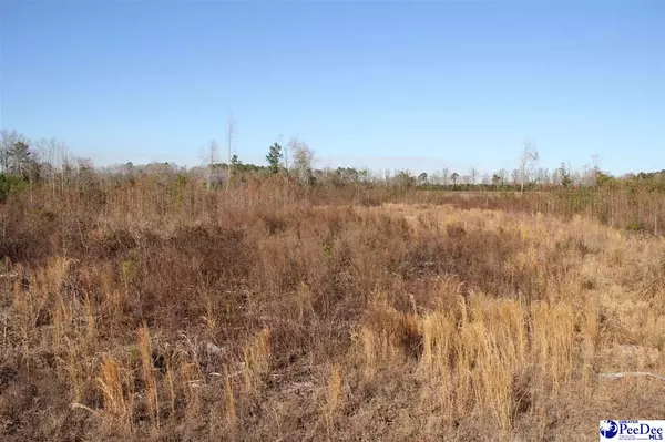 Lamar, SC 29069,000 Country Manor Rd