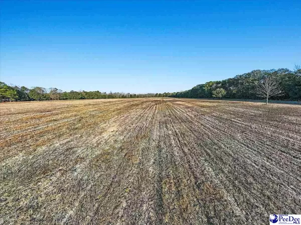 Manning, SC 29102,5.34 Acres Tract 7 Off Flinn Rd