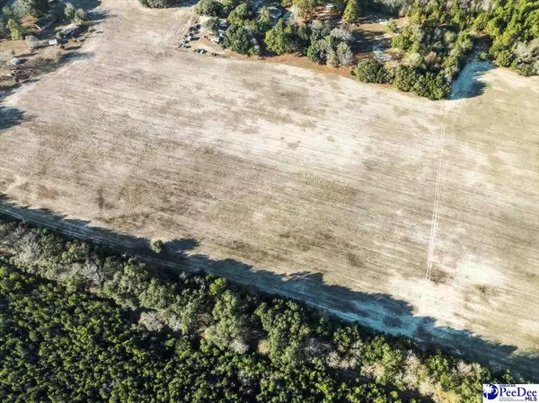 Manning, SC 29102,5.34 Acres Tract 6 Off Flinn Rd