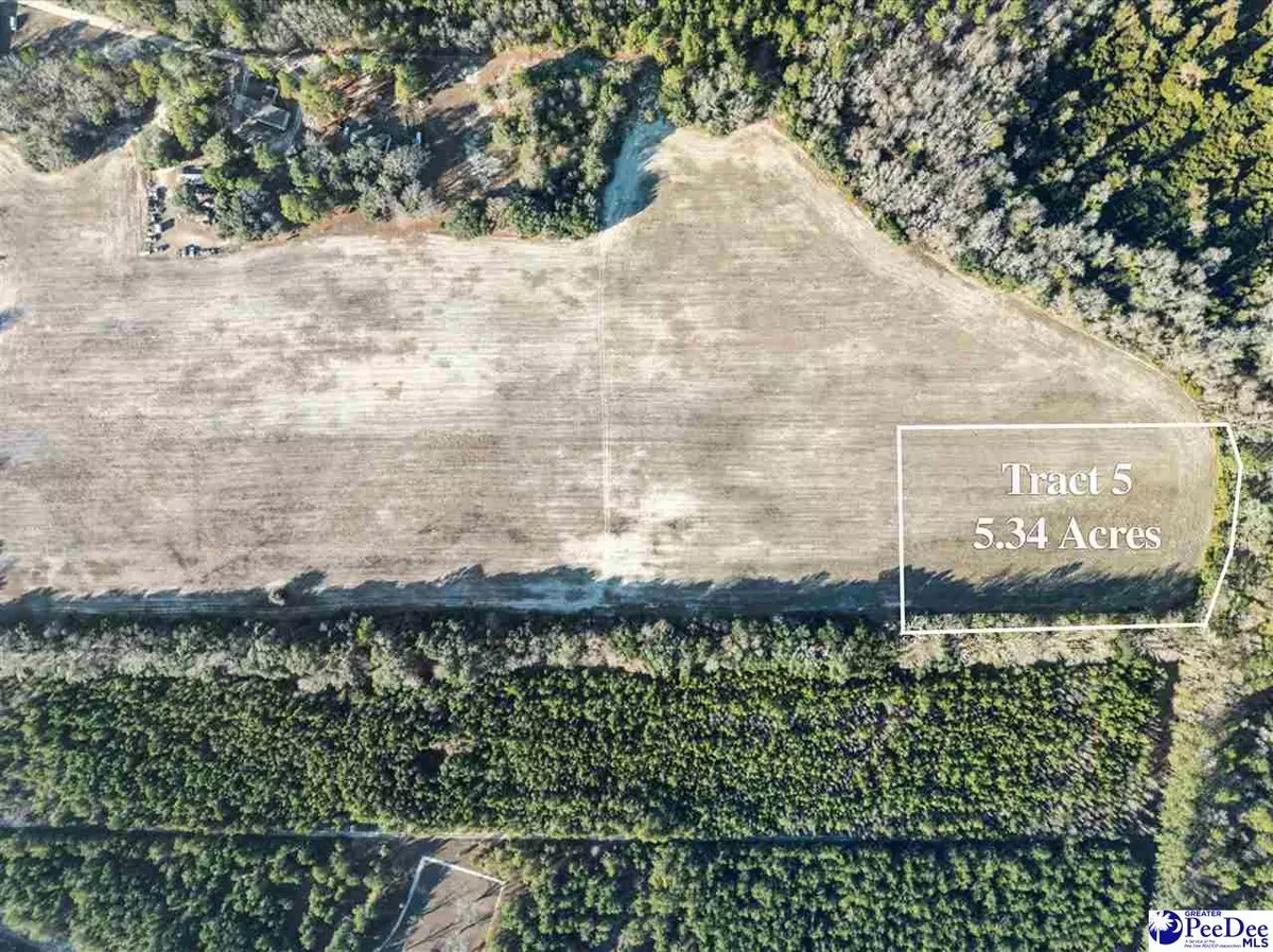 Manning, SC 29102,5.34 Acres Tract 5 Off Flinn Rd