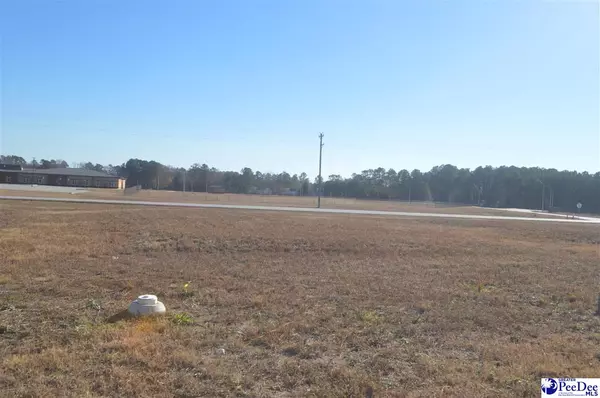 1259 Egrets Point, Hartsville, SC 29550