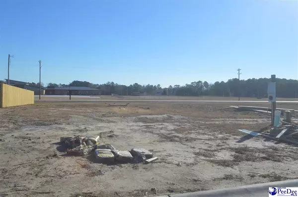 1247 Egrets Point, Hartsville, SC 29550