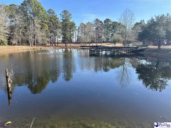 Bennettsville, SC 29512,1349 Academy Road