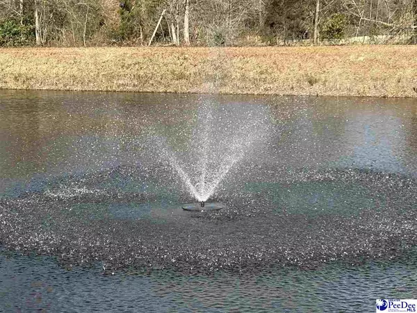 Bennettsville, SC 29512,1349 Academy Road