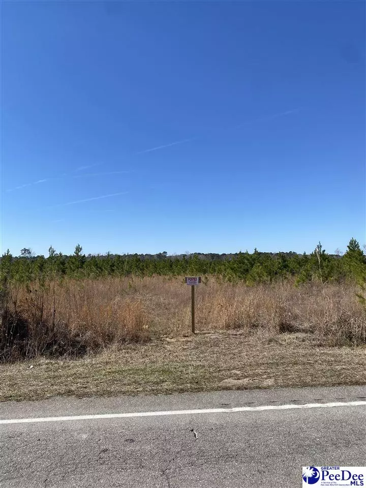 Manning, SC 29102,TBD hwy 260