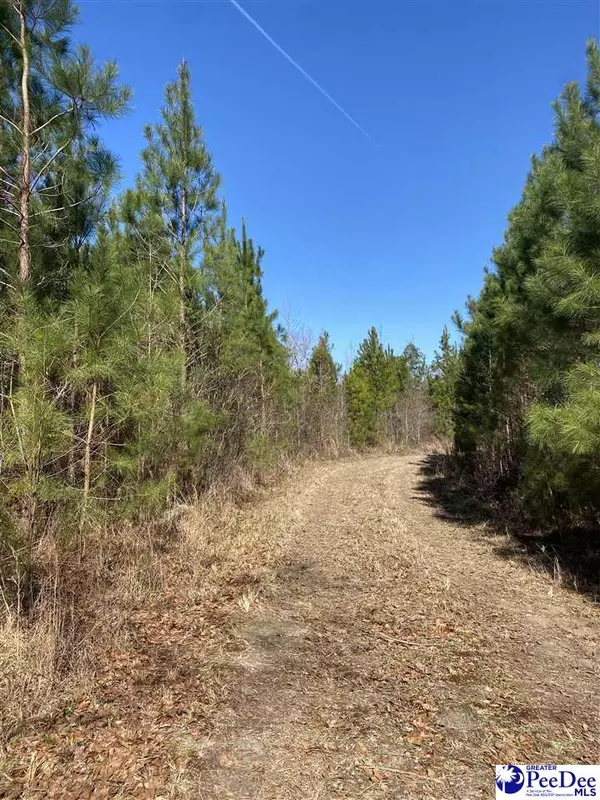 Manning, SC 29102,TBD hwy 260
