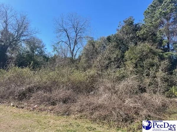 Hartsville, SC 29550,929 W Carolina Ave