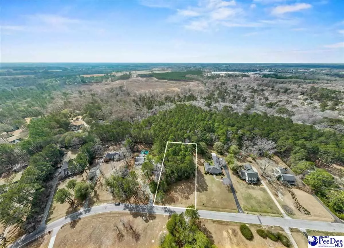 Darlington, SC 29532,TBD Wyandot Street Lot 99