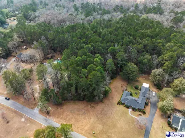 Darlington, SC 29532,TBD Wyandot Street Lot 99