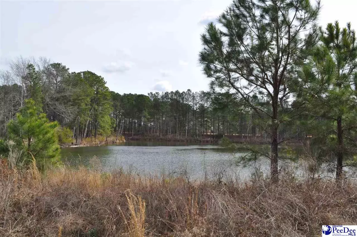 Marion, SC 29571,TBD Crater Road