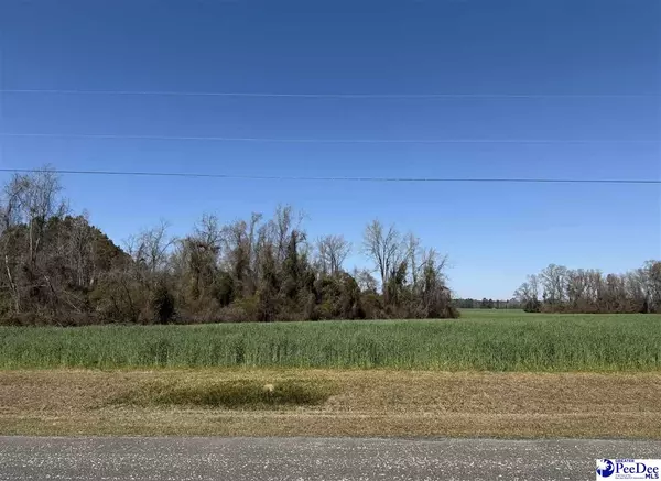 Lake City, SC 29560,TBD Cameron Road