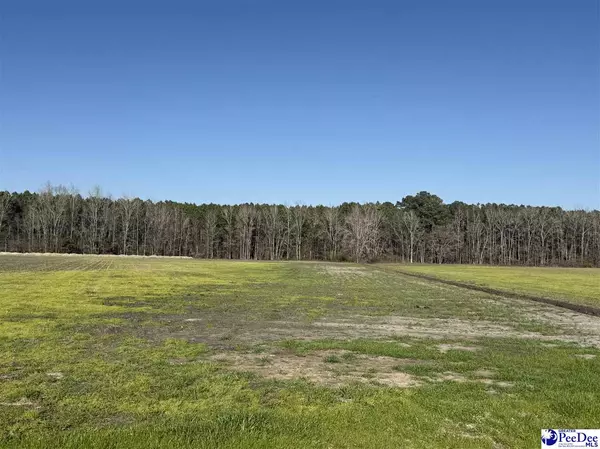 Timmonsville, SC 29161,16.83 acres Saddlebrook Lane