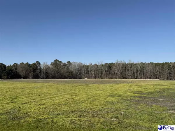 Timmonsville, SC 29161,16.83 acres Saddlebrook Lane