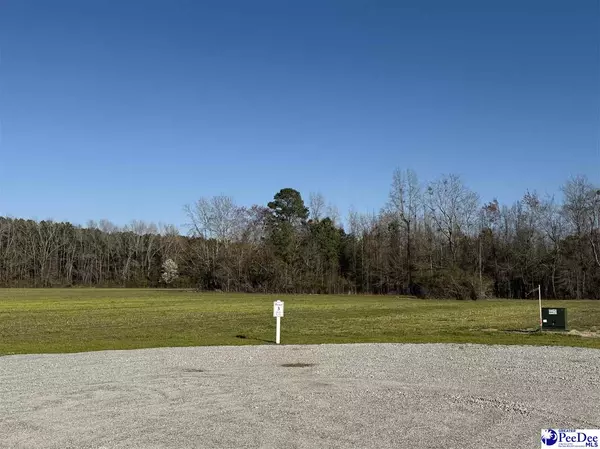 Timmonsville, SC 29161,19.99 acres Saddlebrook Lane