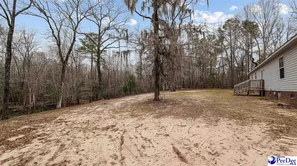 Coward, SC 29530,1420 Ben Gause Road