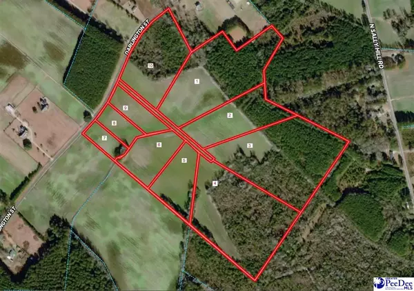 Timmonsville, SC 29161,6.15 acres Saddlebrook Lane