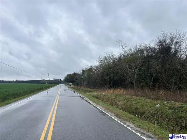 Bennettsville, SC 29512,TBD Highway 15-401