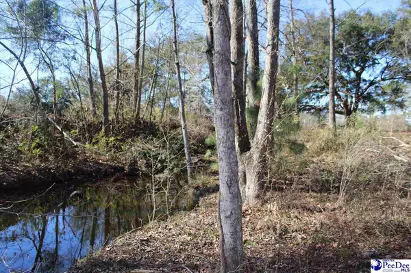 Johnsonville, SC 29555,2226 Durant Cemetary Rd.
